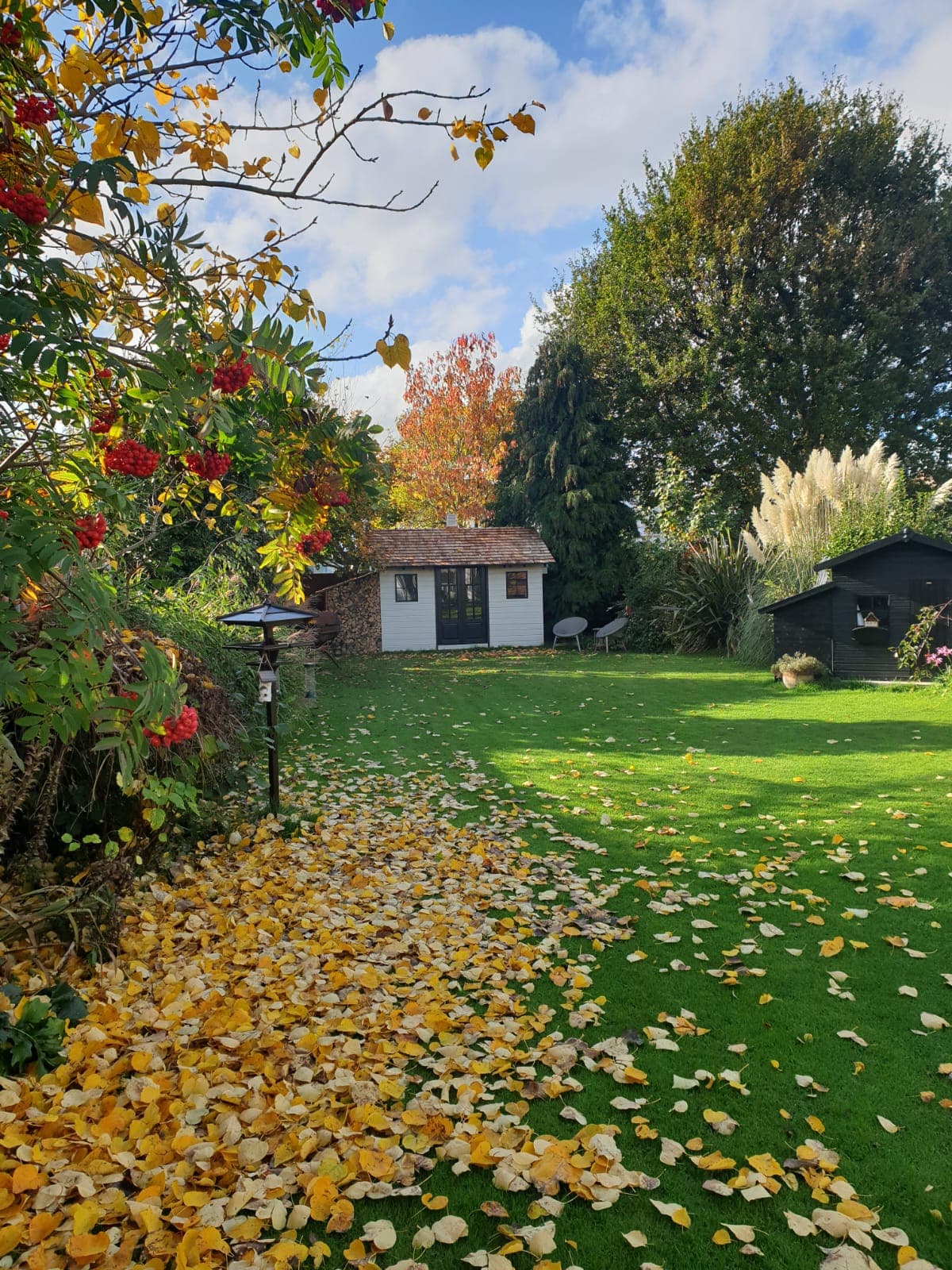 Garden and outdoor area renovation project