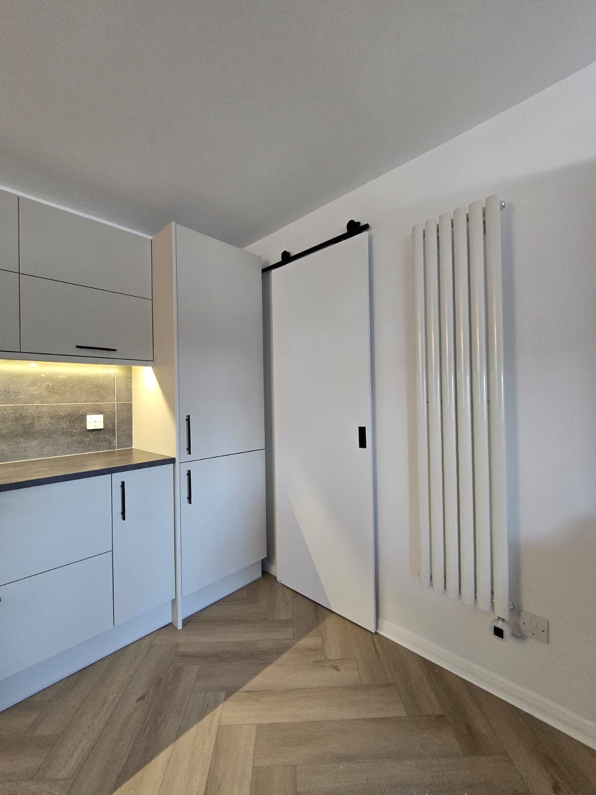 Full kitchen renovation with new units and appliance integration